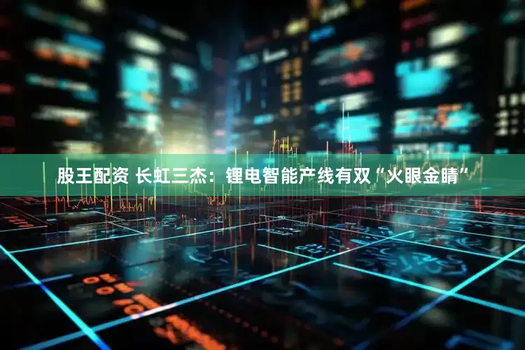 股王配资 长虹三杰：锂电智能产线有双“火眼金睛”