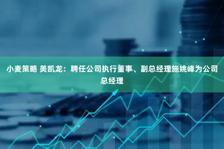 小麦策略 美凯龙：聘任公司执行董事、副总经理施姚峰为公司总经理