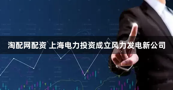 淘配网配资 上海电力投资成立风力发电新公司