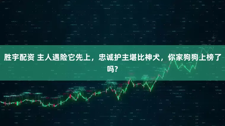 胜宇配资 主人遇险它先上,忠诚护主堪比神犬,你家狗狗上榜了吗?
